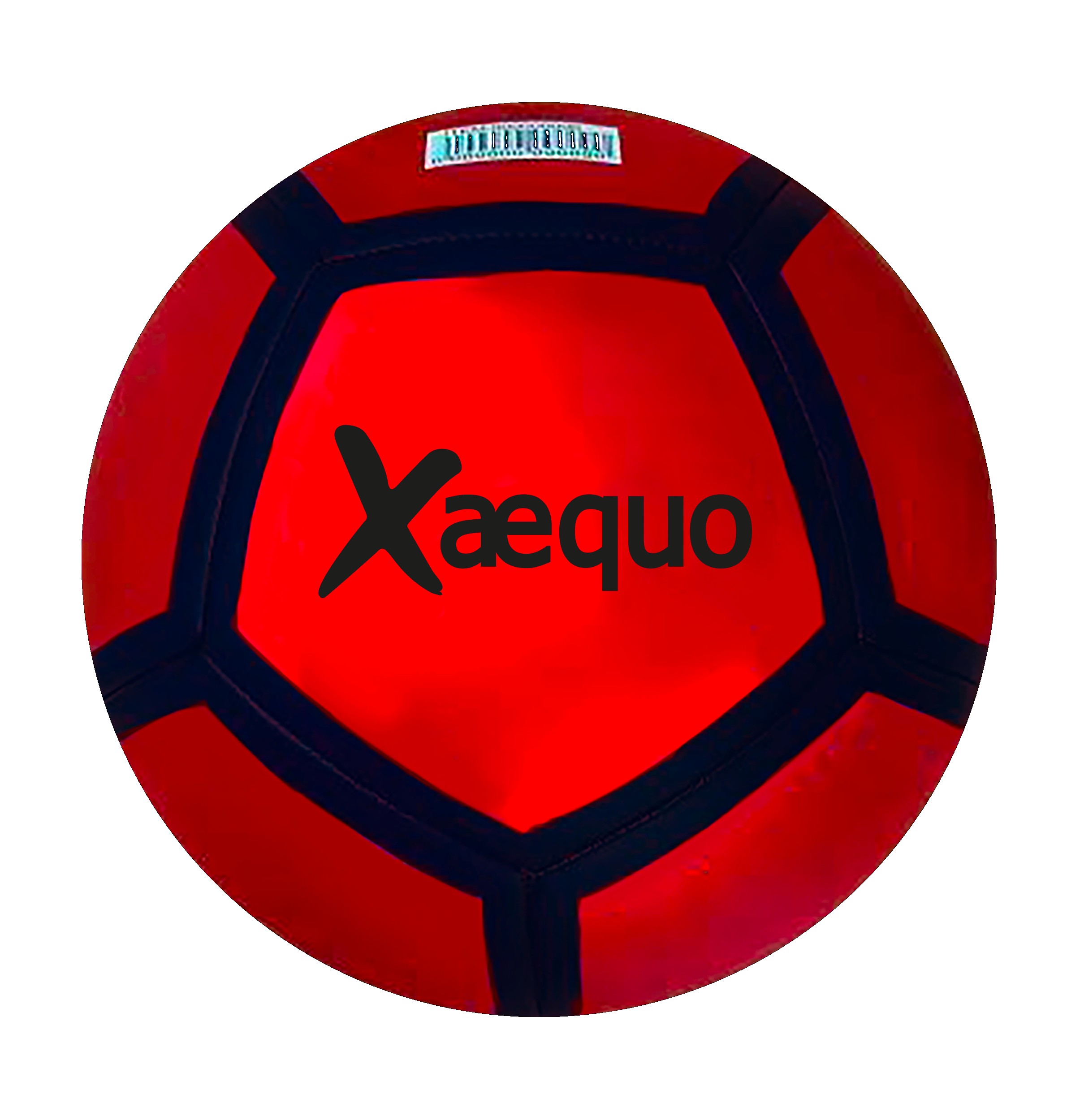 PIE COSIDO METÁLICO D.22CM XAEQUO?v=697c0b06d8b92