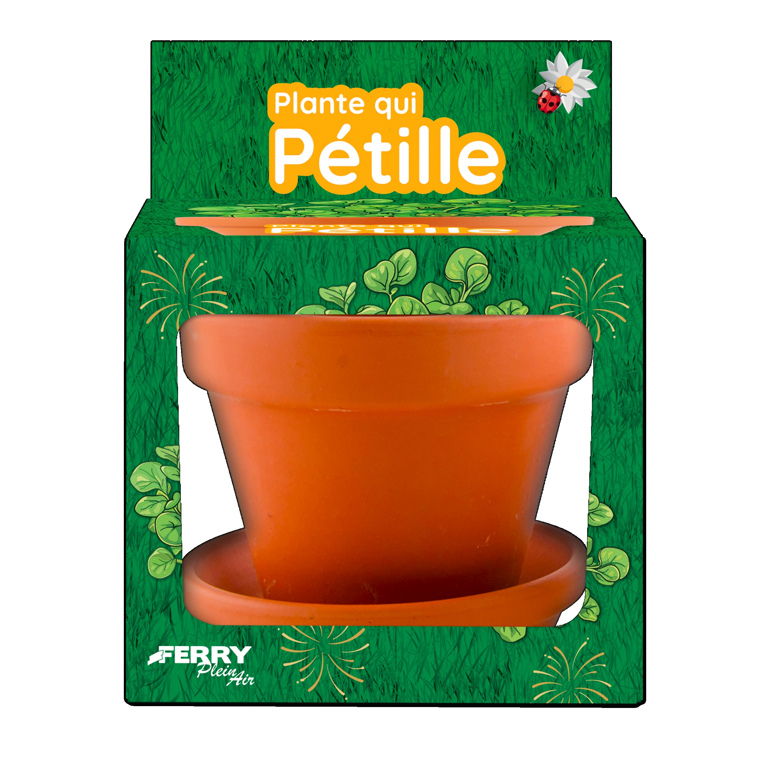 PLANTA DE SPLISHING EN MACETA DE 8CM?v=697c0b02b1de9