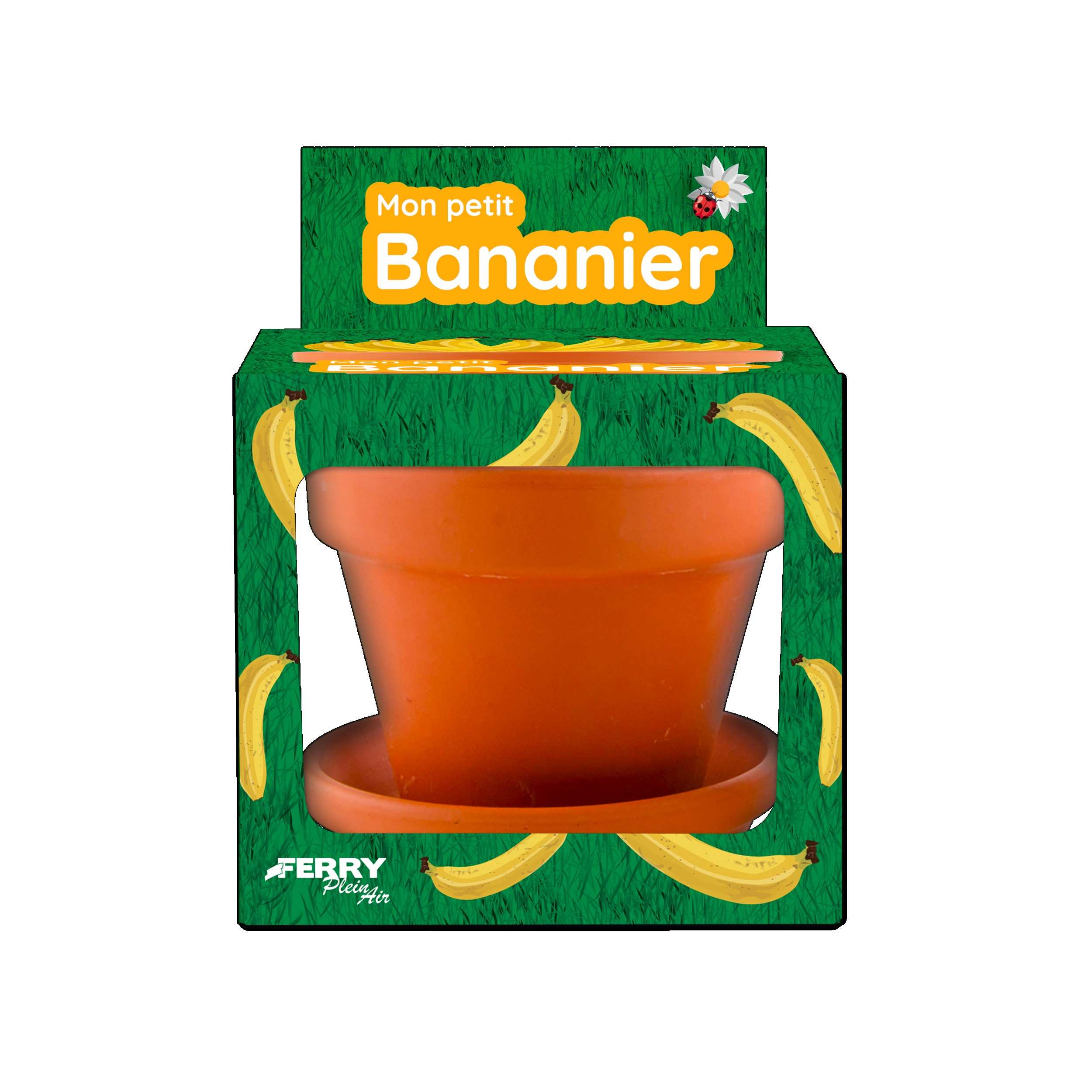 MACETA DE PLÁTANO 8CM?v=697c0b02b9bbd