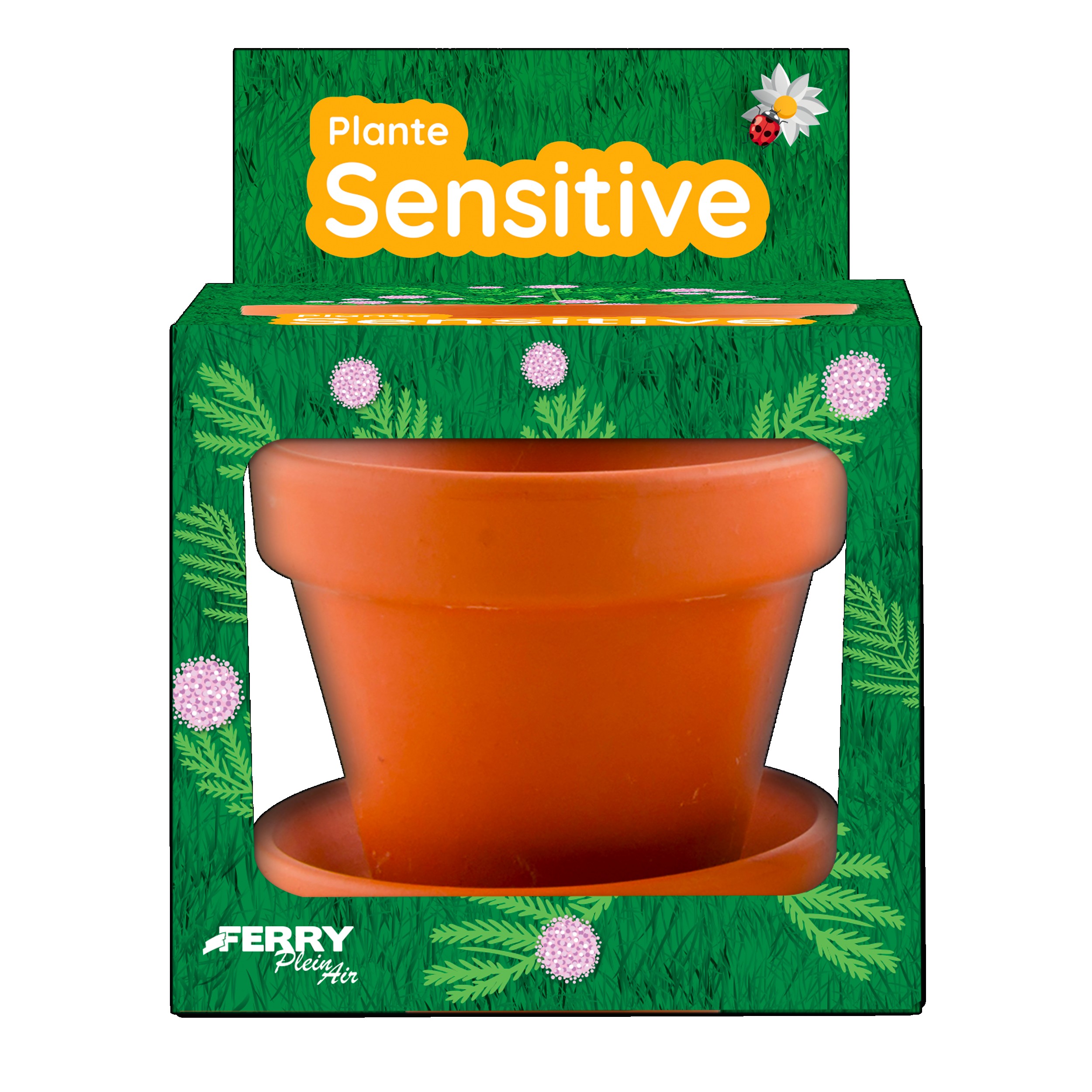 MACETA DE MIMOSA PUDICA DE 8 CM?v=697c0b02c26e2