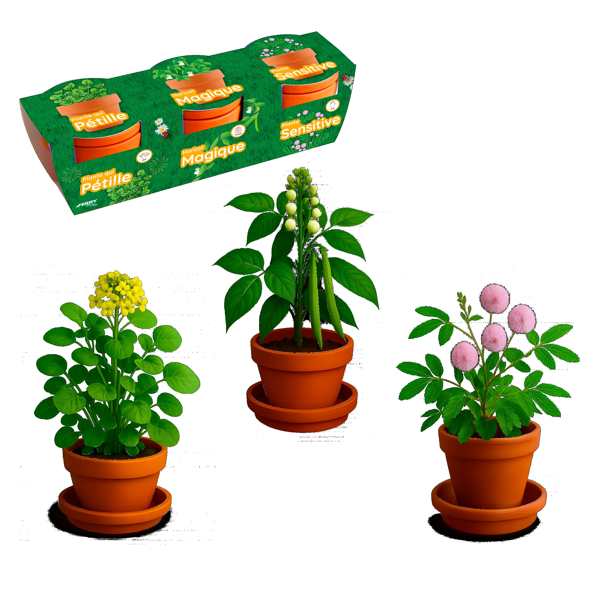 TRIO PLANTAS MÁGICAS?v=697c0b02e3f3c