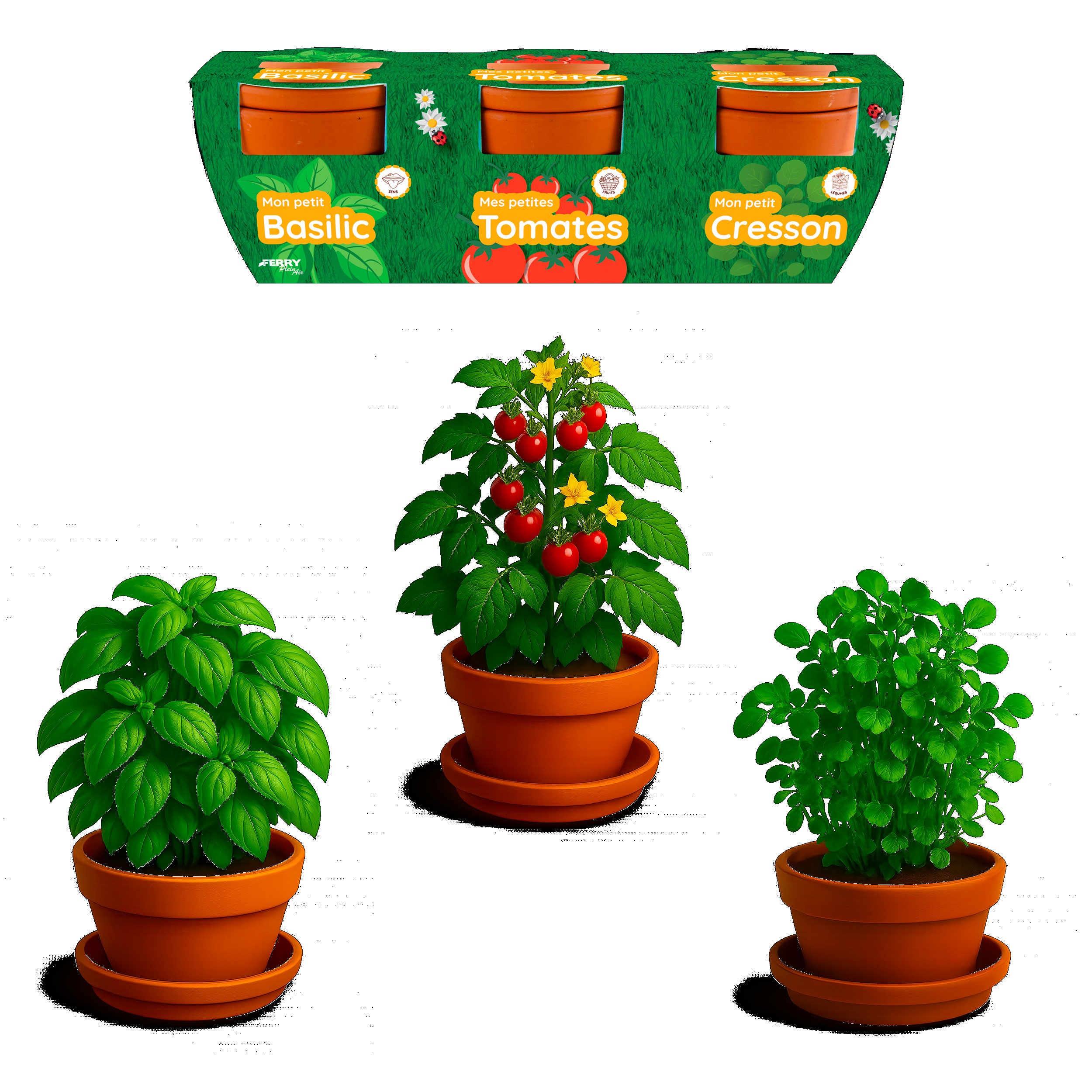 TRÍO DE PLANTAS GOURMET ORGÁNICAS?v=697c0b02ef440