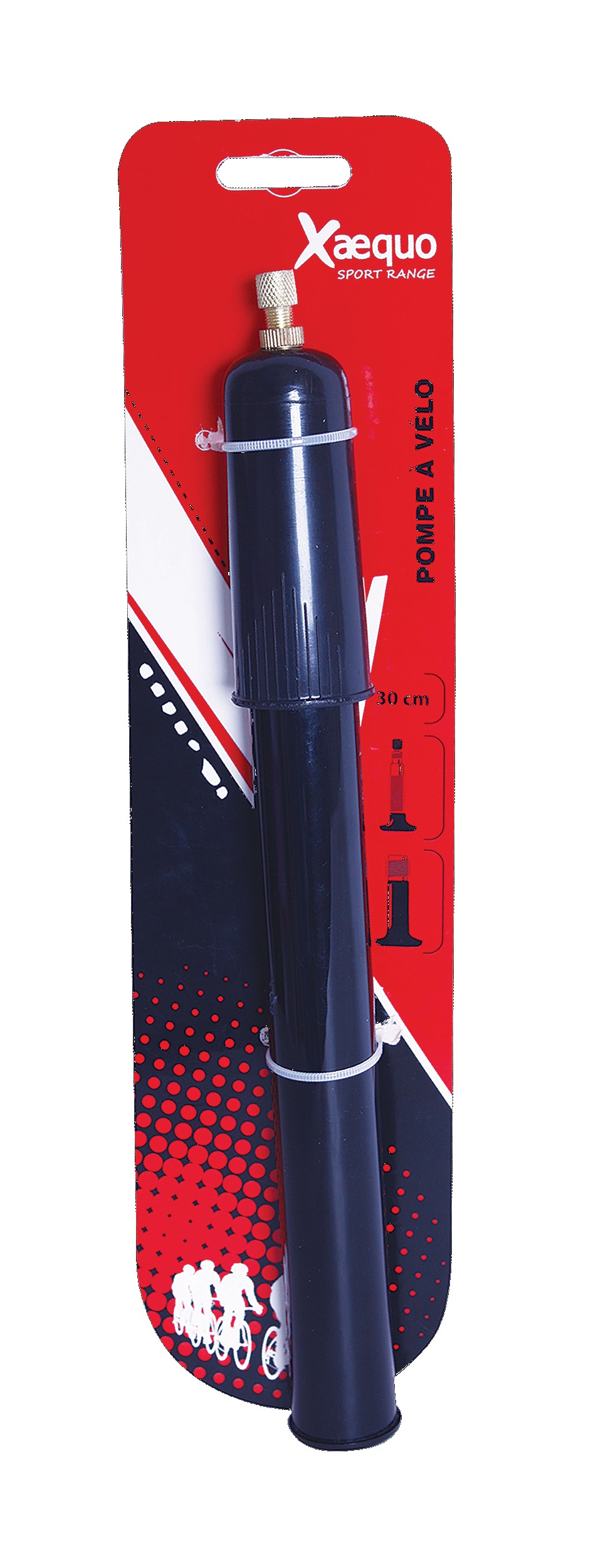 BOMBA DE BICICLETA XAEQUO?v=697c0b08bc7b2