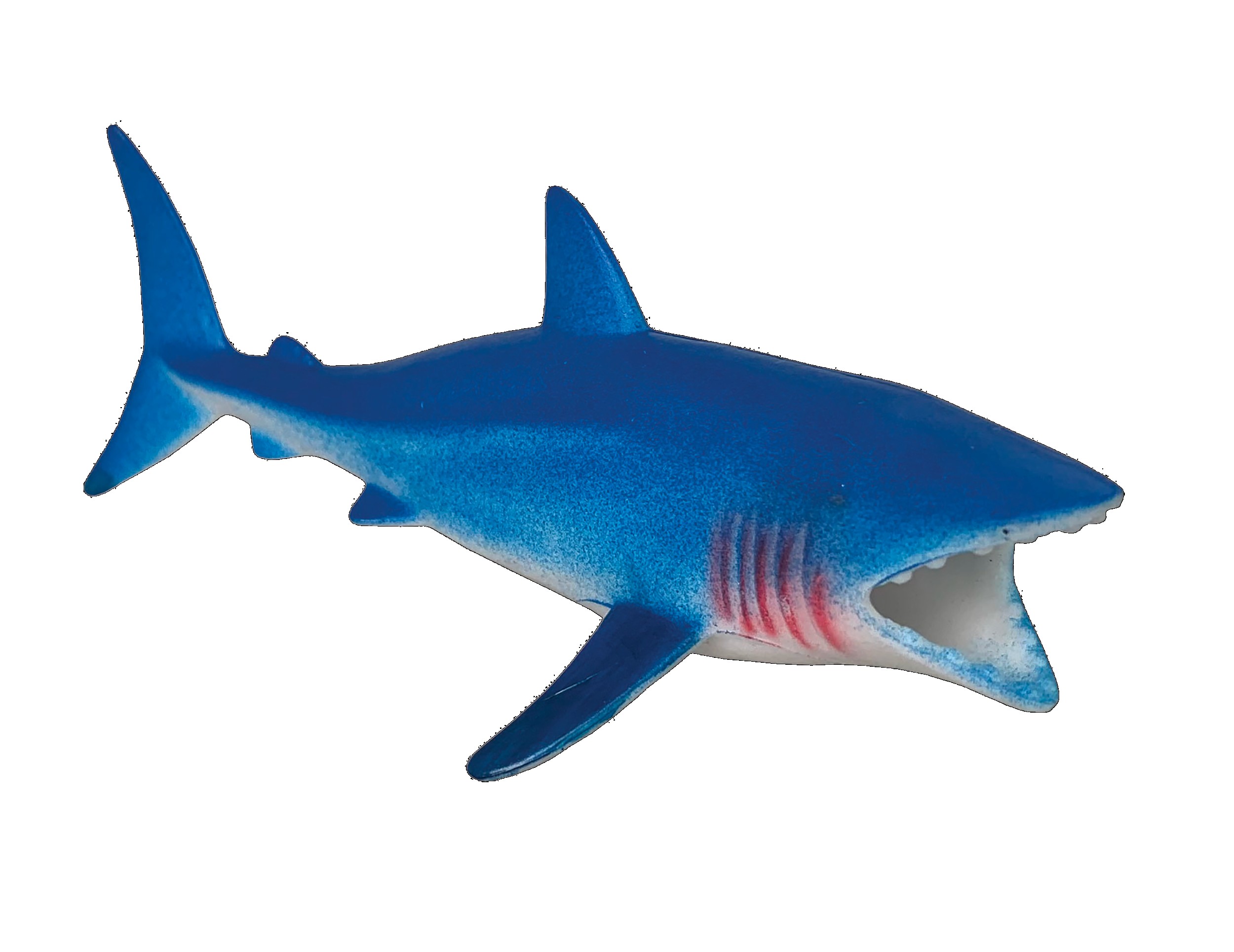 ANIMALES MARINOS PM?v=697c0b0b74d7c