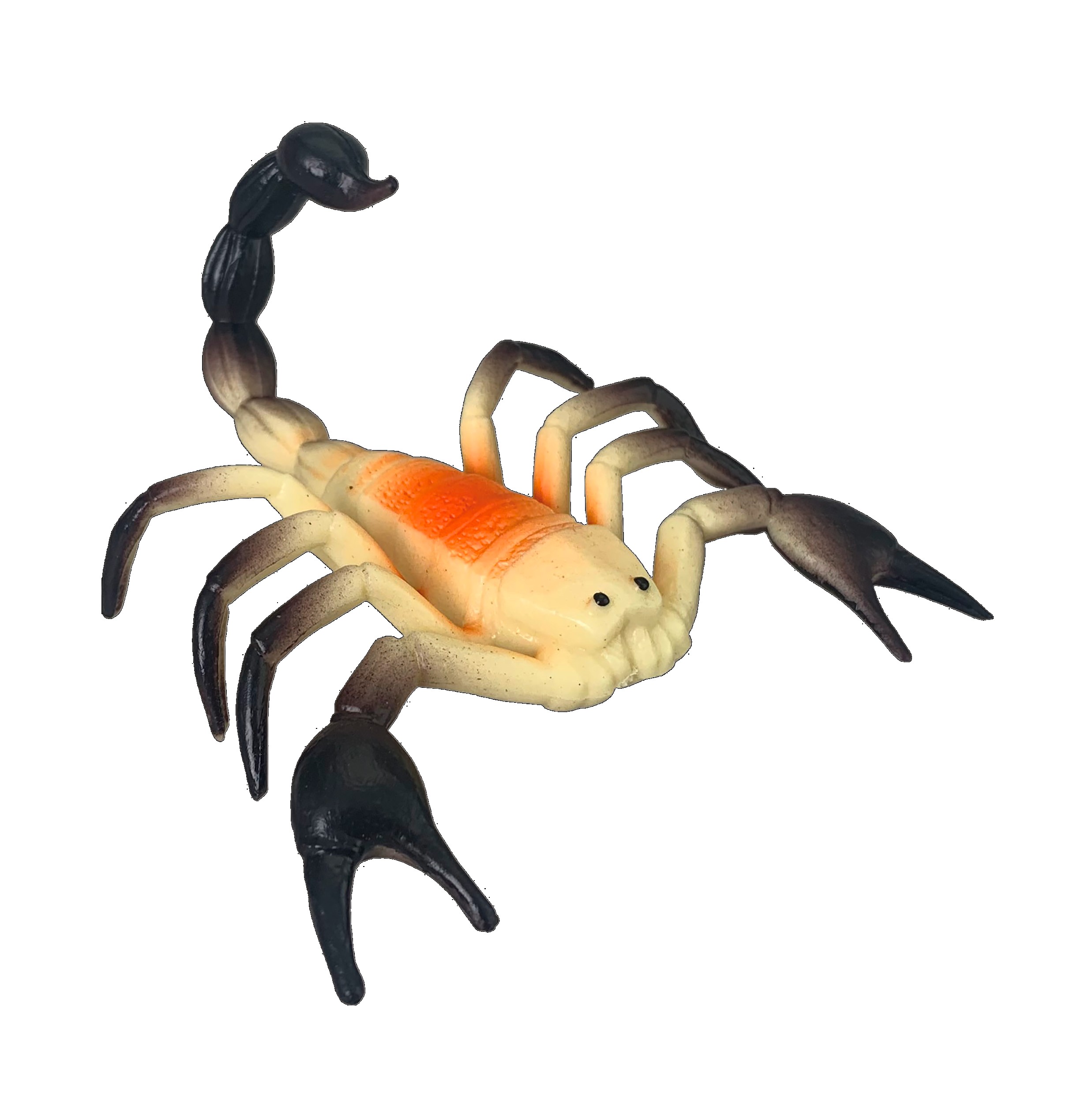 INSECTOS DE LAS 8 PM?v=697c0b0b6a3c7