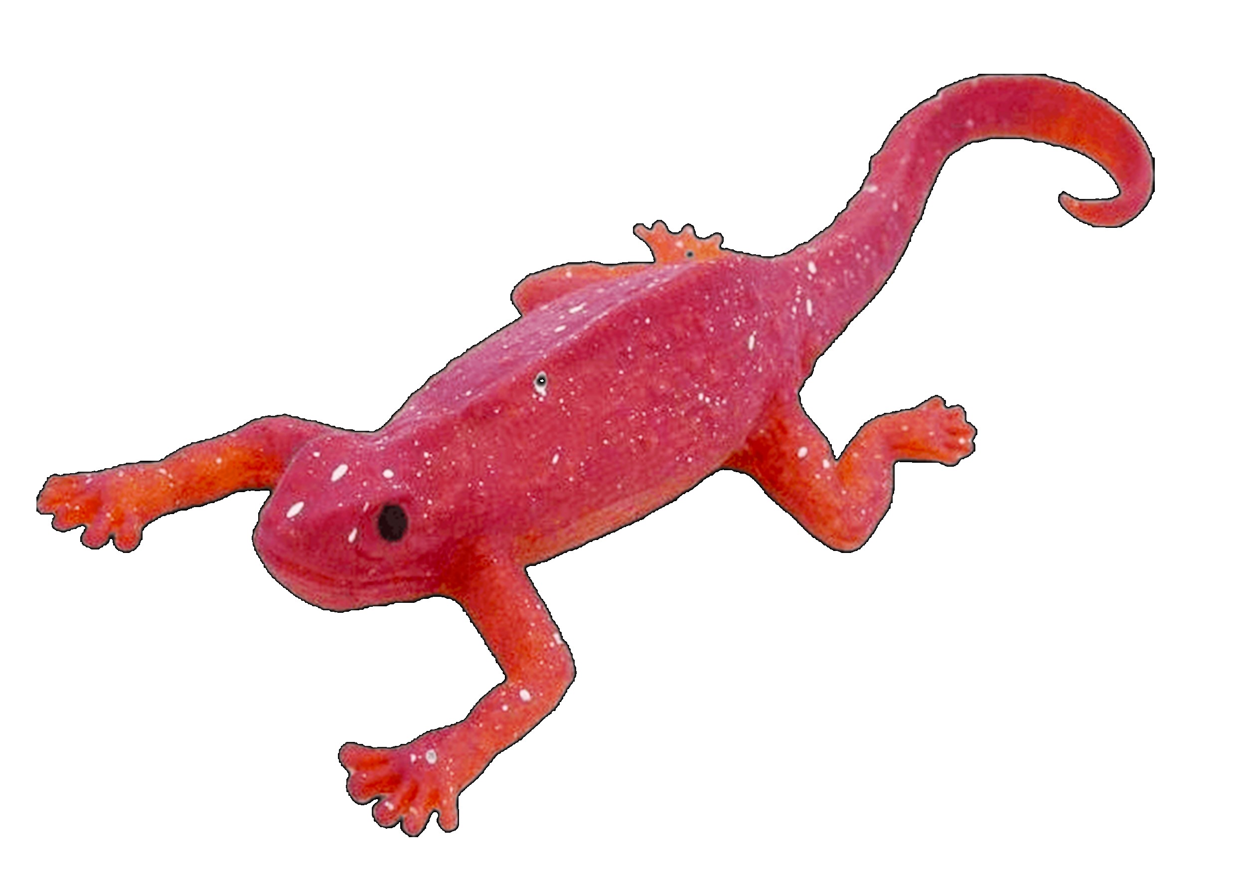 CAMELEÓN DB 48?v=697c0b0ad7ff4